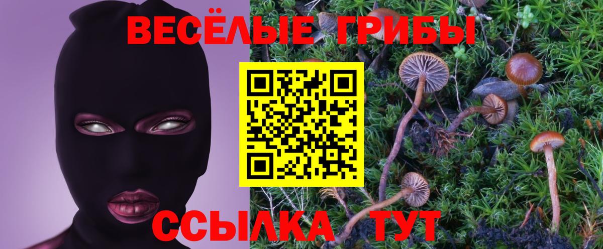 Псилоцибиновые грибы Psilocybine cubensis  Псилоцибиновые грибы Magic Shrooms  Вход с VPN  Ессентуки 